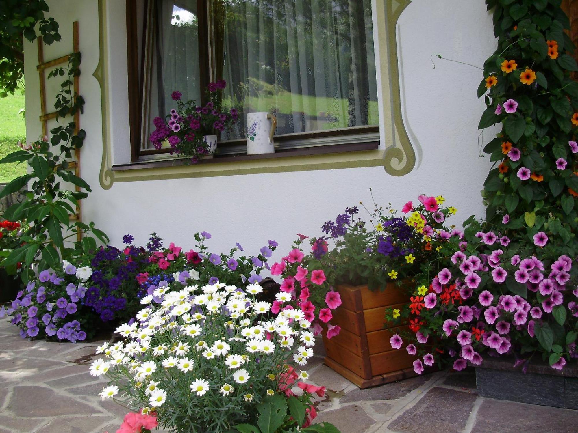 Haus Elisabeth Apartment แบร์วัง ภายนอก รูปภาพ