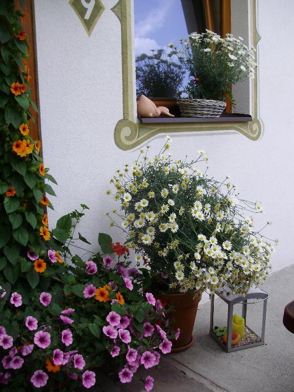 Haus Elisabeth Apartment แบร์วัง ภายนอก รูปภาพ